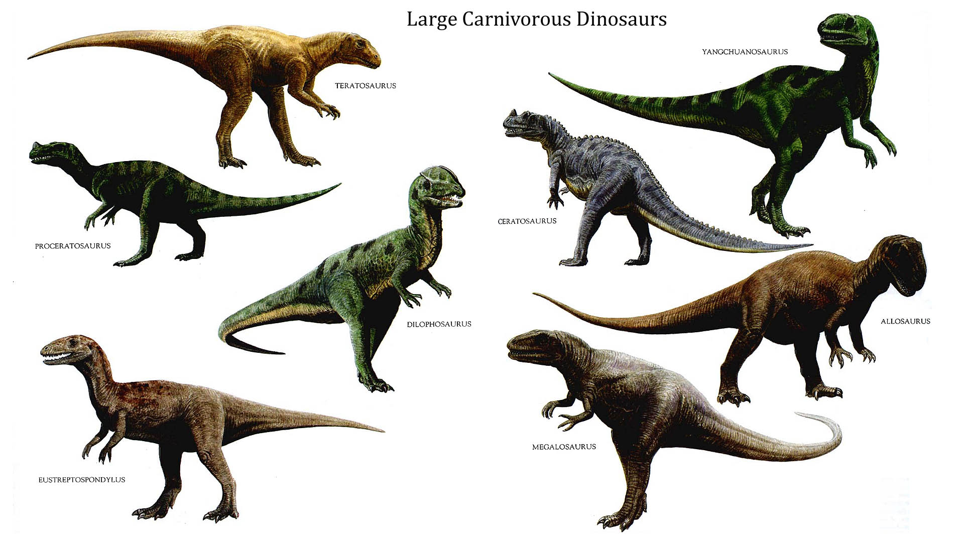 large-carnivorous-dinosaurs