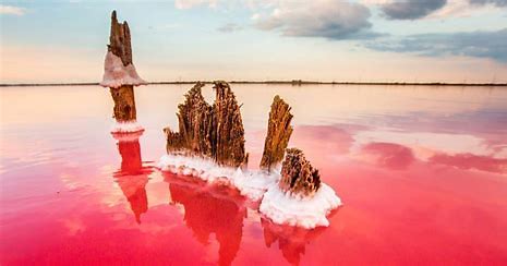 Image result for the pink lake ukraine
